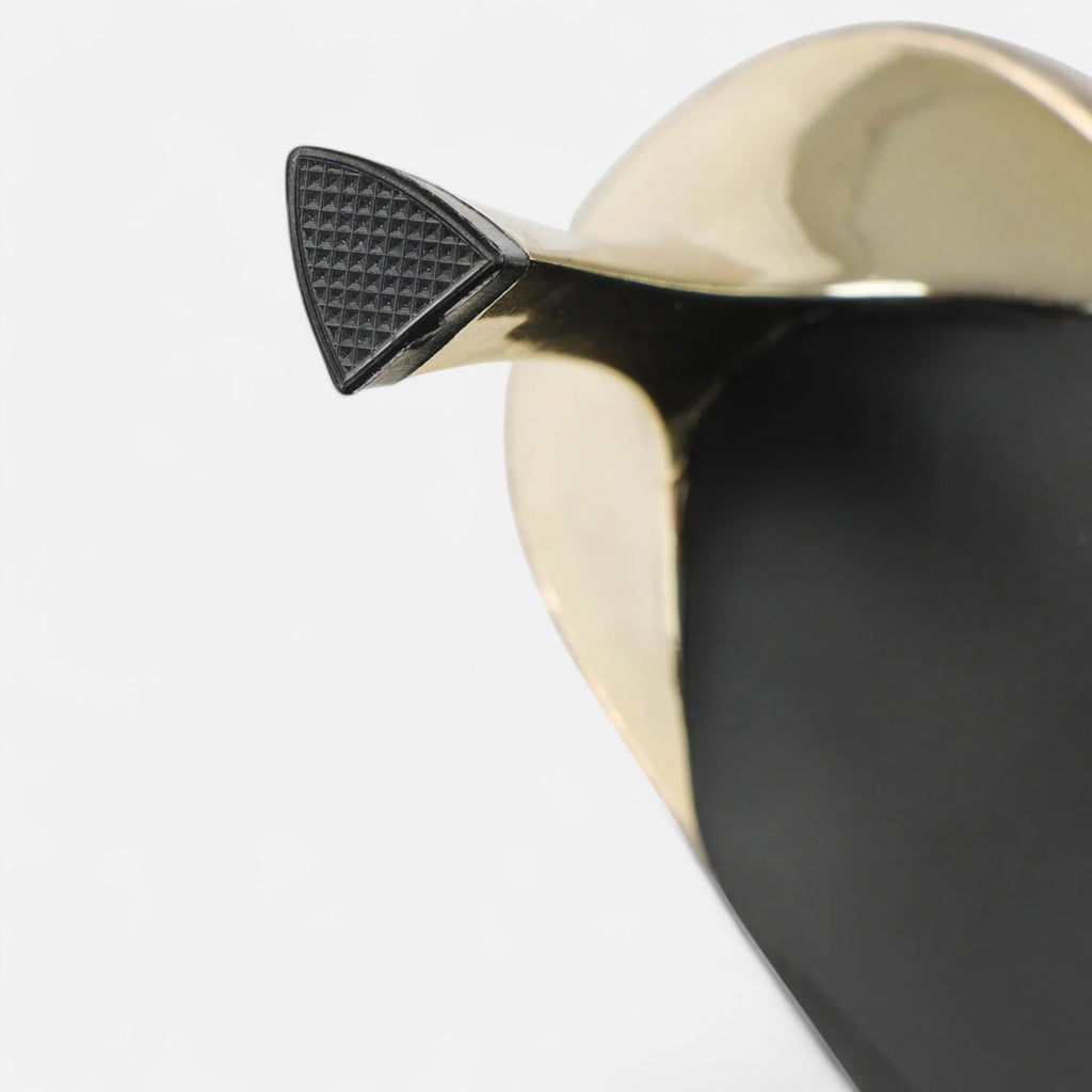 Eloura | Women’s Medium Heels – Balanced Lift, Enduring Elegance